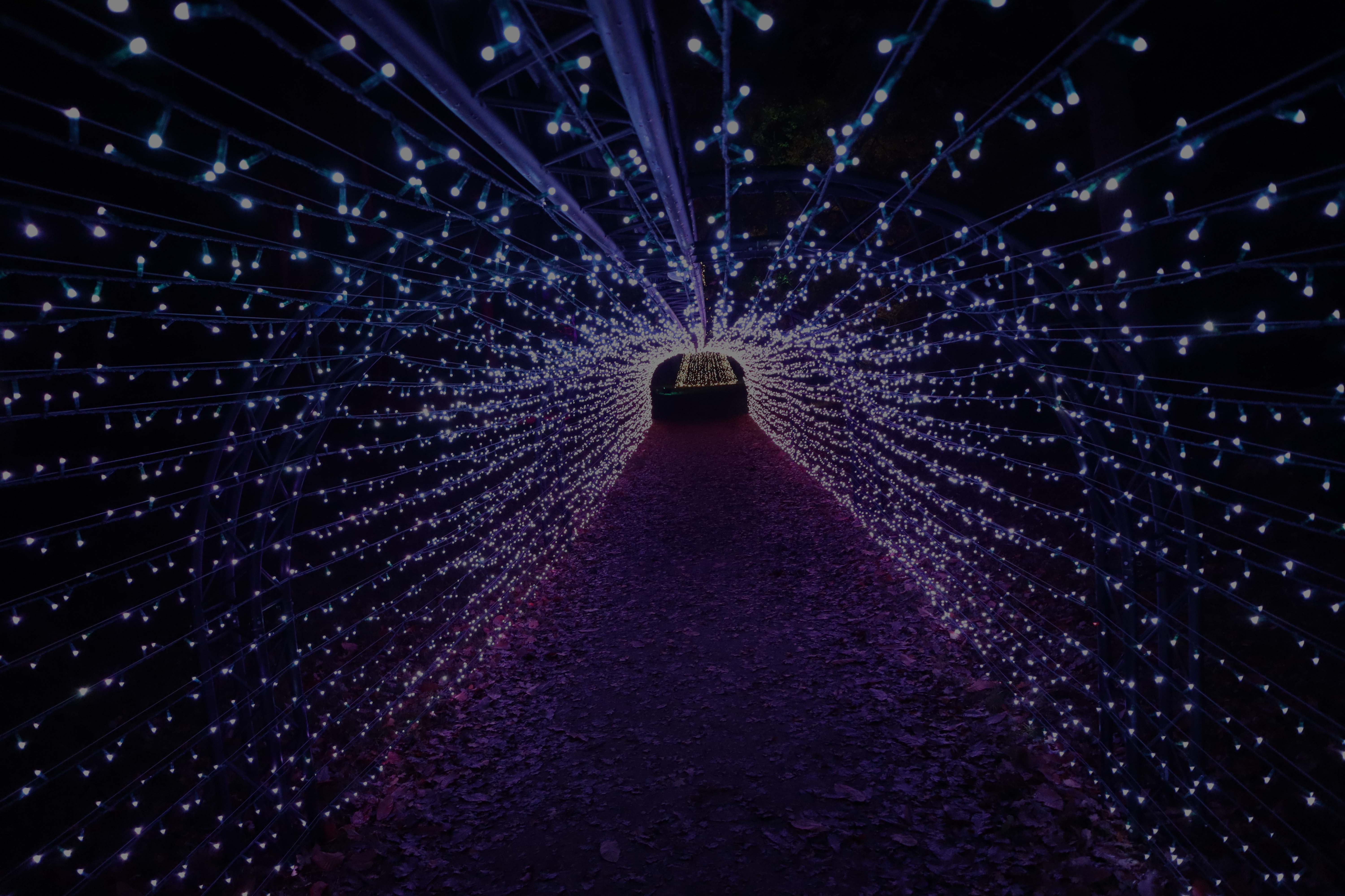 Sparkle Corridor